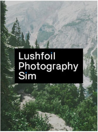 Lushfoil Photography Sim (Steam)