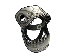 Lizard Skull