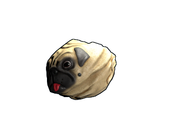 Pug Rock