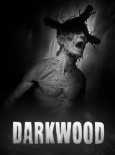 Buy Darkwood Steam Key