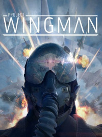 Buy Game Key - Project Wingman (Steam)