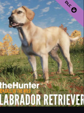 Buy theHunter: Call of the Wild - Labrador Retriever - DLC Steam Key